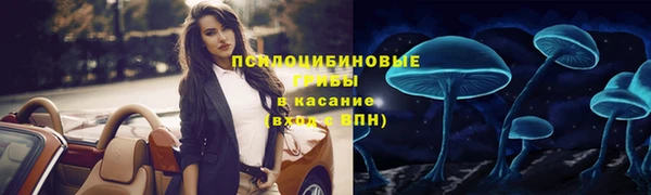 гашик Балахна