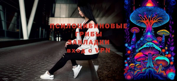 гашик Балахна