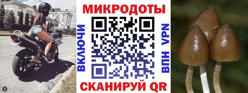 Псилоцибиновые грибы Cubensis  наркотики  Пересвет 